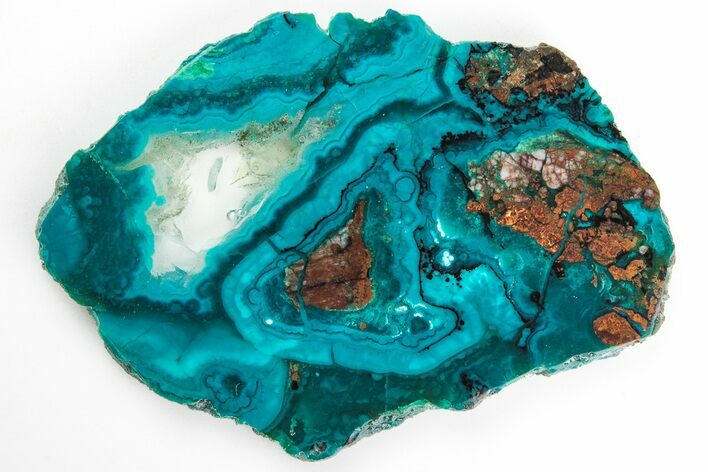 Polished Banded Chrysocolla - Bagdad Mine, Arizona #206559